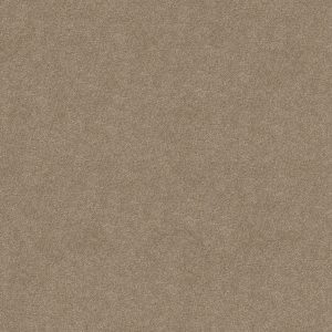 Shaw Floors Retail YOU KNOW IT - 00701 HAVANA