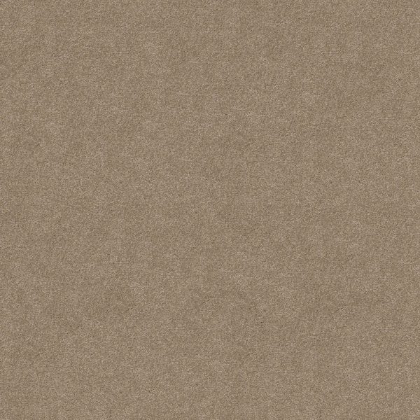 Shaw Floors Retail YOU KNOW IT - 00701 HAVANA