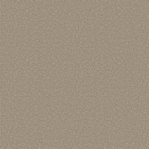 Shaw Floors Retail YOU KNOW IT - 00702 COASTAL FOG