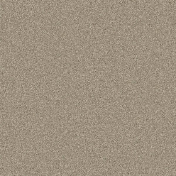 Shaw Floors Retail YOU KNOW IT - 00702 COASTAL FOG