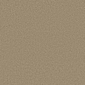 Shaw Floors Retail PARLAY - 00103 GALLERY