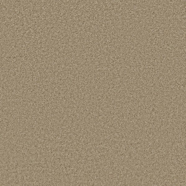 Shaw Floors Retail PARLAY - 00103 GALLERY