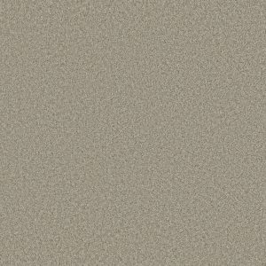 Shaw Floors Retail PARLAY - 00152 CASCADE