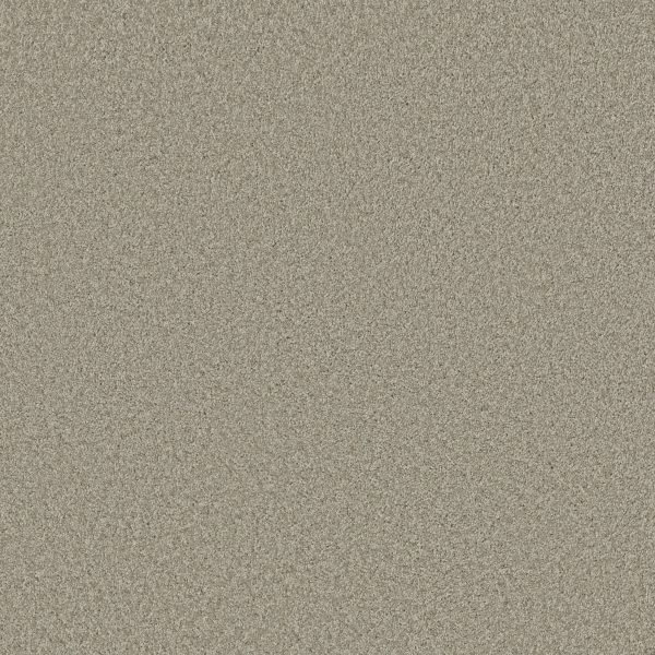 Shaw Floors Retail PARLAY - 00152 CASCADE