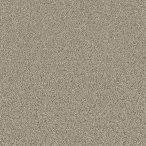 Shaw Floors Retail PARLAY - 00153 ABALONE