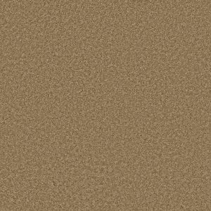 Shaw Floors Retail PARLAY - 00201 REED