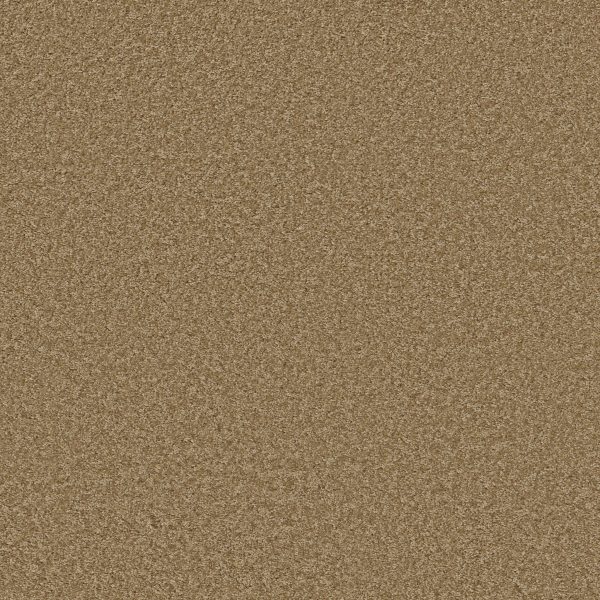 Shaw Floors Retail PARLAY - 00201 REED