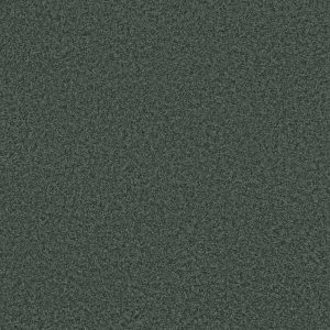Shaw Floors Retail PARLAY - 00351 MEDITERRANEAN