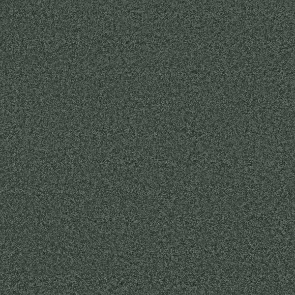 Shaw Floors Retail PARLAY - 00351 MEDITERRANEAN