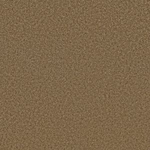Shaw Floors Retail PARLAY - 00702 RIDGECREST