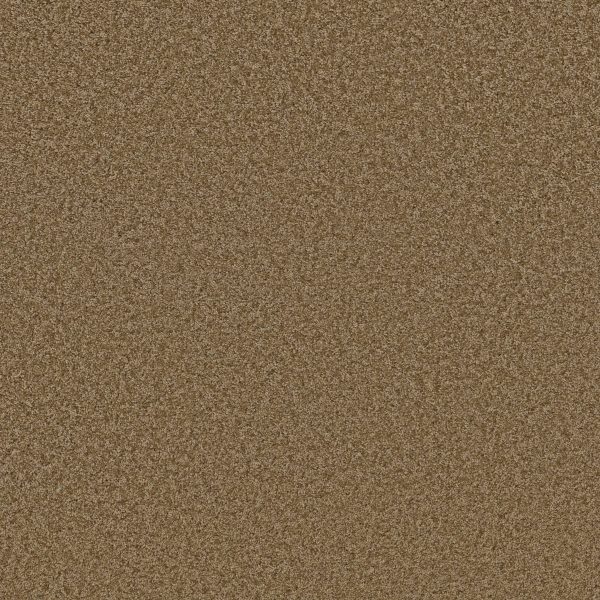 Shaw Floors Retail PARLAY - 00702 RIDGECREST