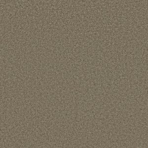 Shaw Floors Retail PARLAY - 00750 DRIFTWOOD