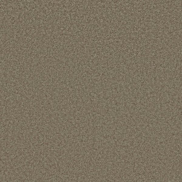 Shaw Floors Retail PARLAY - 00750 DRIFTWOOD