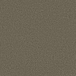 Shaw Floors Retail PARLAY - 00752 DOCKSIDE