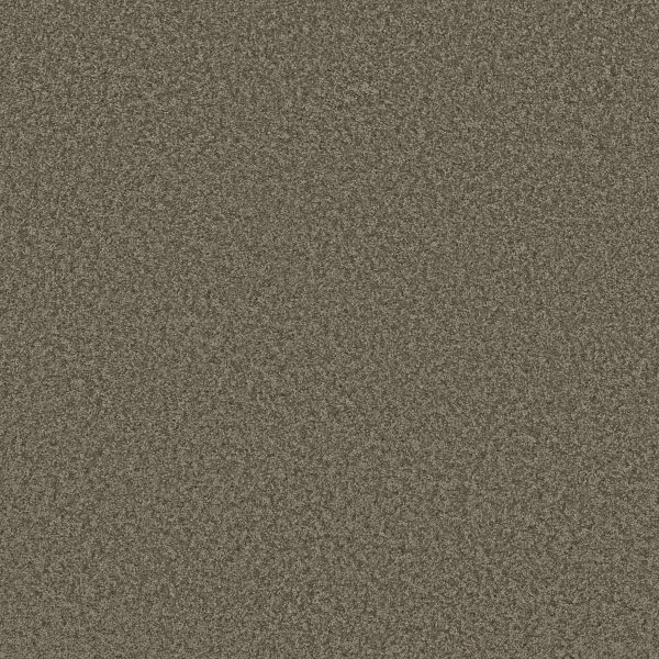 Shaw Floors Retail PARLAY - 00752 DOCKSIDE