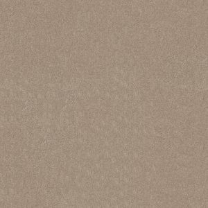 Shaw Floors Retail THAT'S RIGHT - 00102 FRENCH CANVAS