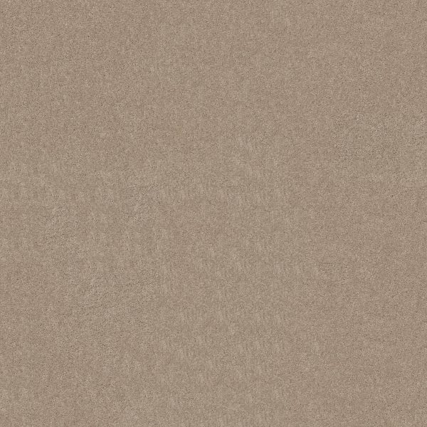 Shaw Floors Retail THAT'S RIGHT - 00102 FRENCH CANVAS