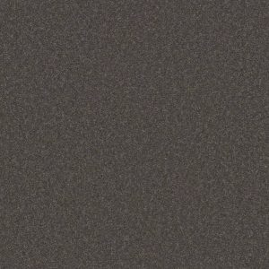 Shaw Floors Retail THAT'S RIGHT - 00503 MARBLE GRAY
