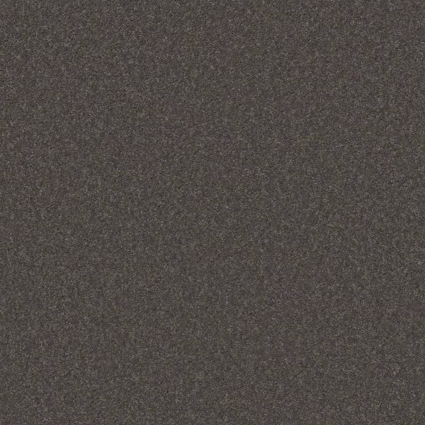 Shaw Floors Retail THAT'S RIGHT - 00503 MARBLE GRAY
