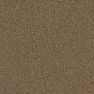 Shaw Floors Retail THAT'S RIGHT - 00700 ACORN