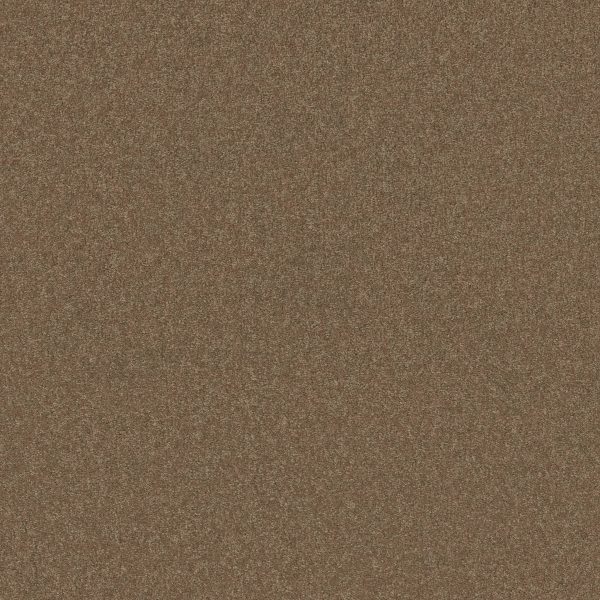 Shaw Floors Retail THAT'S RIGHT - 00700 ACORN