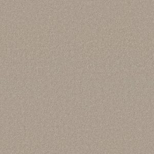 Shaw Floors Retail WHAT'S UP - 00104 LINEN