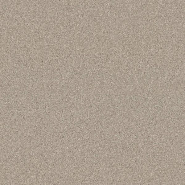Shaw Floors Retail WHAT'S UP - 00104 LINEN