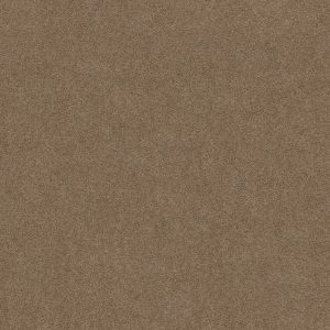 Shaw Floors Retail WHAT'S UP - 00700 ACORN