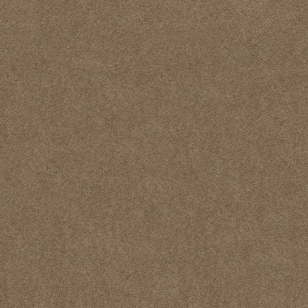 Shaw Floors Retail WHAT'S UP - 00700 ACORN