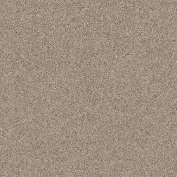 Shaw Floors Retail WHAT'S UP - 00711 CORK BOARD