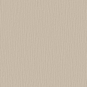 Shaw Floors Retail BANDON DUNES - 00103 CANVAS
