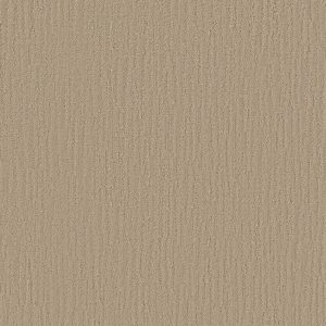 Shaw Floors Retail BANDON DUNES - 00713 AGATE