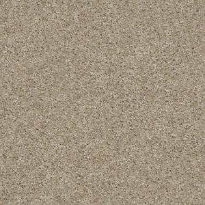 Shaw Floors Retail KEEP IT REAL - 00135 AMAZING GREIGE