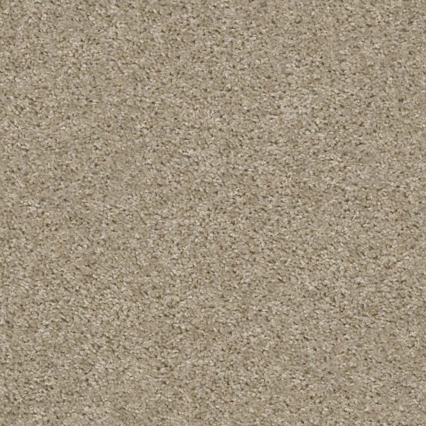 Shaw Floors Retail KEEP IT REAL - 00135 AMAZING GREIGE