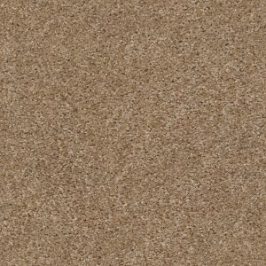Shaw Floors Retail KEEP IT REAL - 00720 THORNWOOD