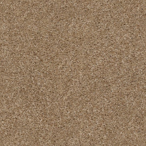 Shaw Floors Retail KEEP IT REAL - 00720 THORNWOOD