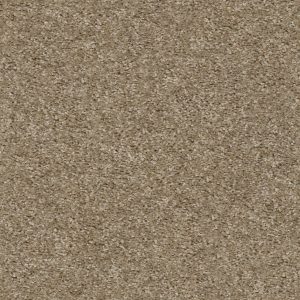 Shaw Floors Retail KEEP IT REAL - 00700 HILLSBOROUGH