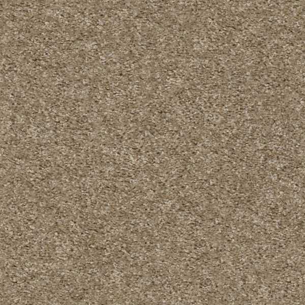 Shaw Floors Retail KEEP IT REAL - 00700 HILLSBOROUGH