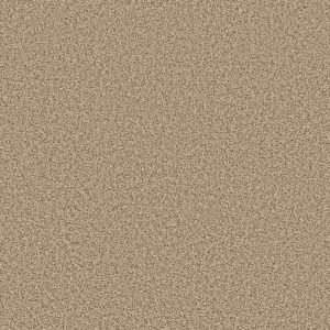 Shaw Floors Value COLOR FLAIR - 00103 CORNMEAL