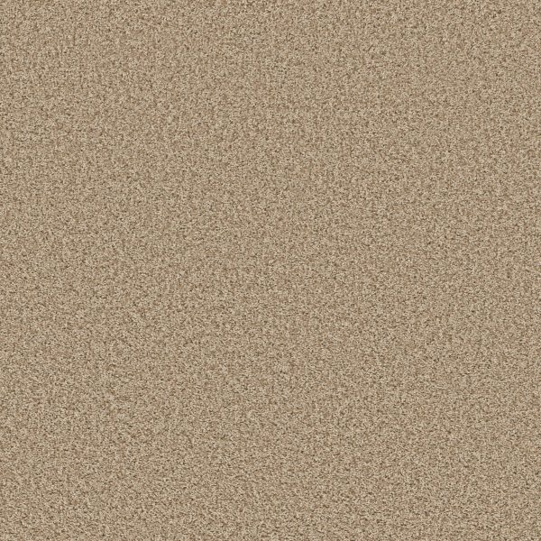 Shaw Floors Value COLOR FLAIR - 00103 CORNMEAL