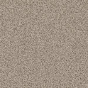 Shaw Floors Value COLOR FLAIR - 00104 OYSTER