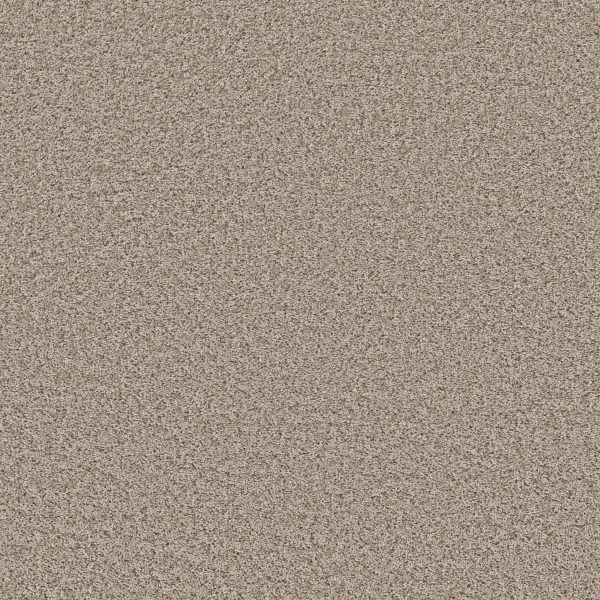 Shaw Floors Value COLOR FLAIR - 00104 OYSTER