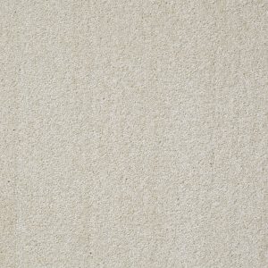 Shaw Floors Retail SOMETHING SWEET - 00103 PLASTER