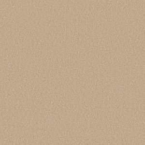 Shaw Floors Retail SOMETHING SWEET - 00111 CREAM PUFF