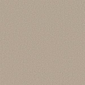 Shaw Floors Retail SOMETHING SWEET - 00113 MARBLE