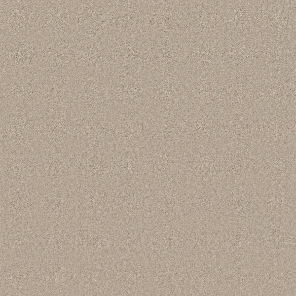 Shaw Floors Retail SOMETHING SWEET - 00113 MARBLE