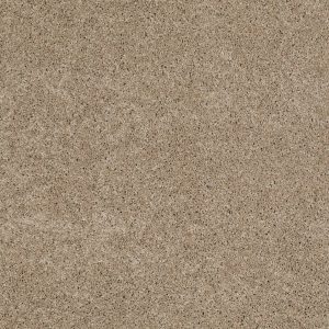Shaw Floors Retail SOMETHING SWEET - 00701 SLATE