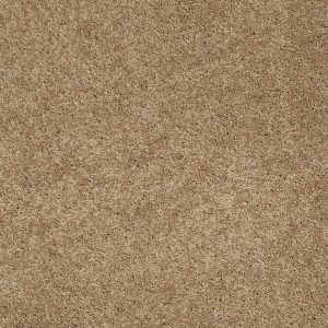 Shaw Floors Retail SOMETHING SWEET - 00703 MAHOGANY