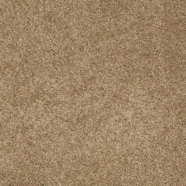 Shaw Floors Retail SOMETHING SWEET - 00703 MAHOGANY