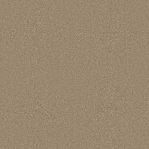 Shaw Floors Retail SOMETHING SWEET - 00711 HICKORY
